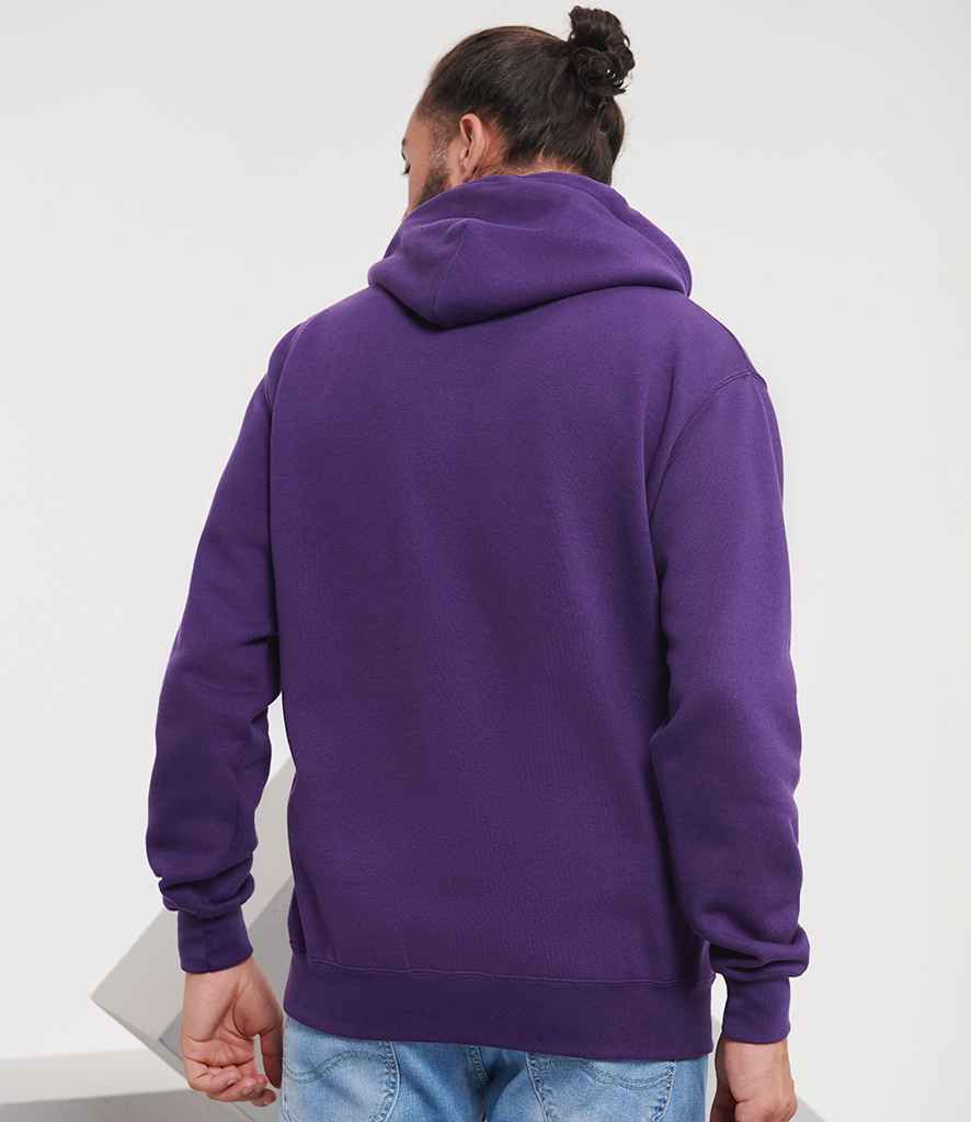 575M Purple Model