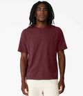 CV3010 Maroon Model