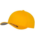 F6277 Gold Front