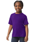 GD01B Purple Model