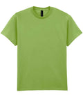 GD02 Kiwi Front