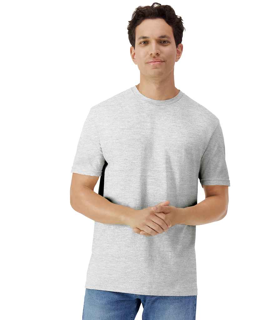 GD03 Ash Model