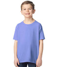 GD05B Violet Model