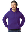 GD57 Purple Model