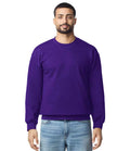 GD67 Purple Model