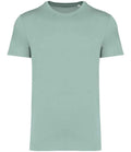 NS305 Jade Green Front