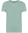NS307 Jade Green Front