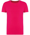 NS307 Raspberry Sorbet Front
