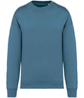 NS407 Adriatic Blue Front