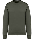 NS407 Organic Khaki Front