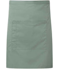 PR141 Sage Front