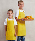 PR149 Yellow Model